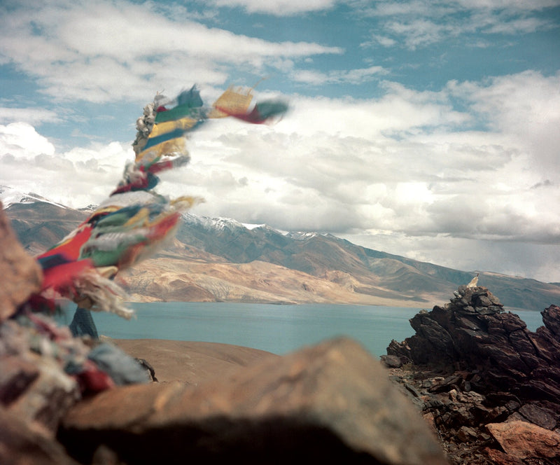 The Windhorse by Dhagpo Lobsang
