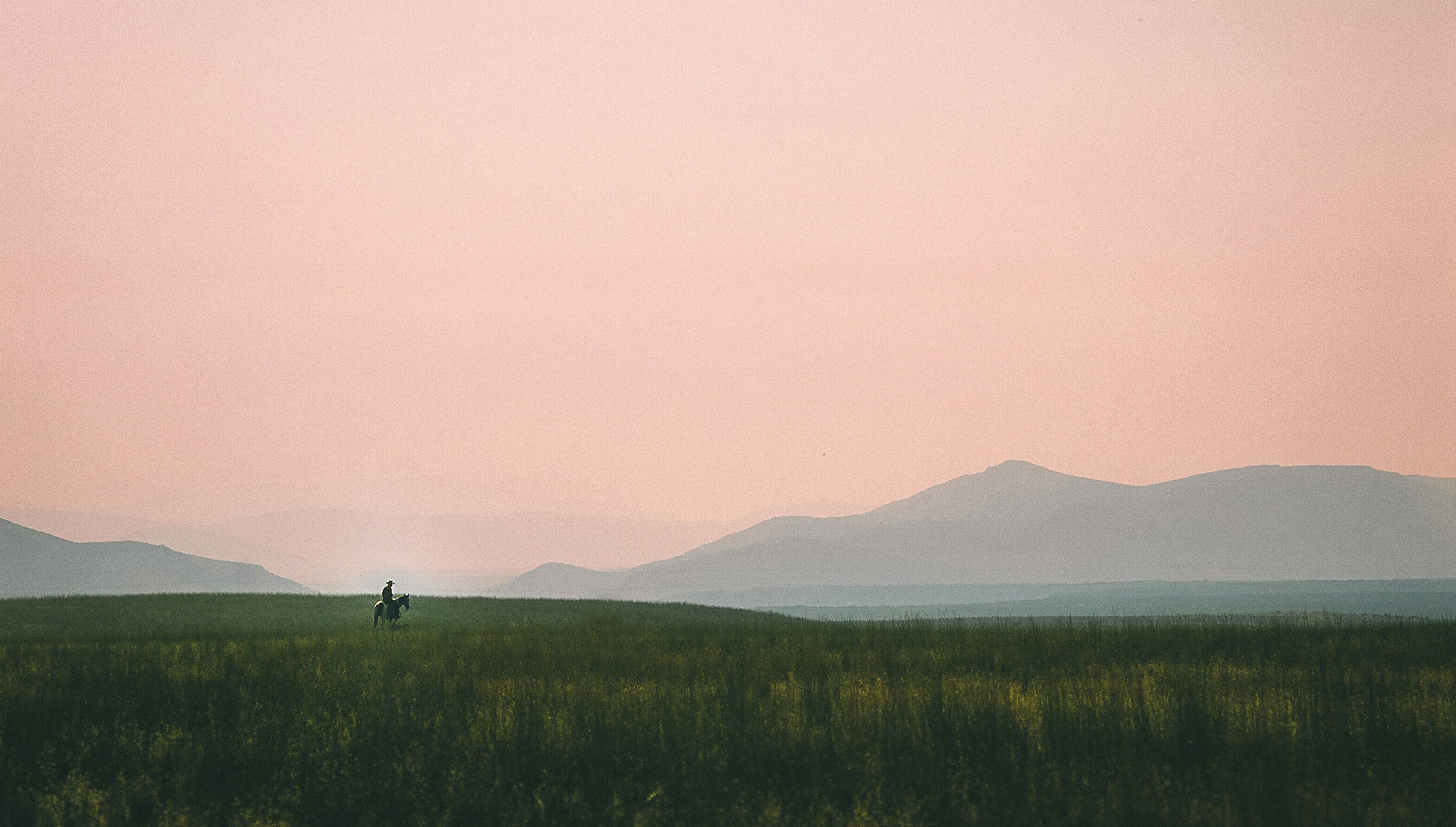 Tiny Cowboy by Josh Soskin
